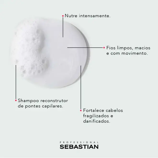 Shampoo Sebastian Professional No. Breaker 250ml