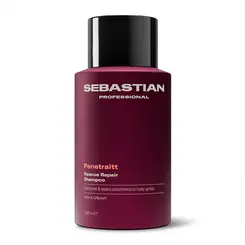 Shampoo Sebastian Professional Penetraitt 280ml